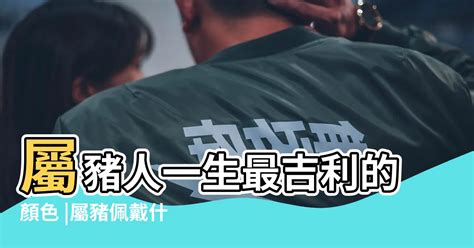 屬豬皮夾顏色|【屬豬適合什麼顏色】屬豬者好運相隨！2024年最強幸運色解。